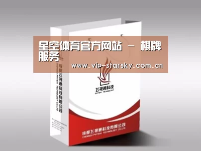 项目名称十三