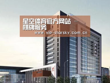 案例展示七