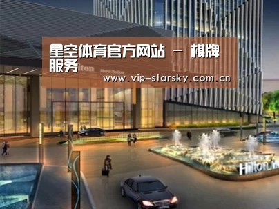 案例展示二