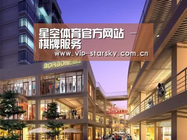 案例展示一