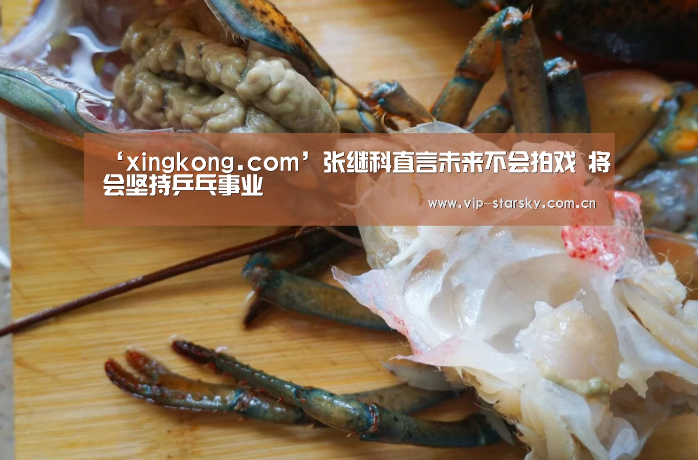 ‘xingkong.com’张继科直言未来不会拍戏 将会坚持乒乓事业(图1) 星空体育app