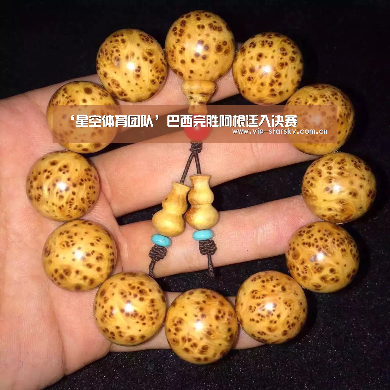 星空体育团队