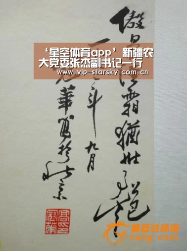 星空体育团队