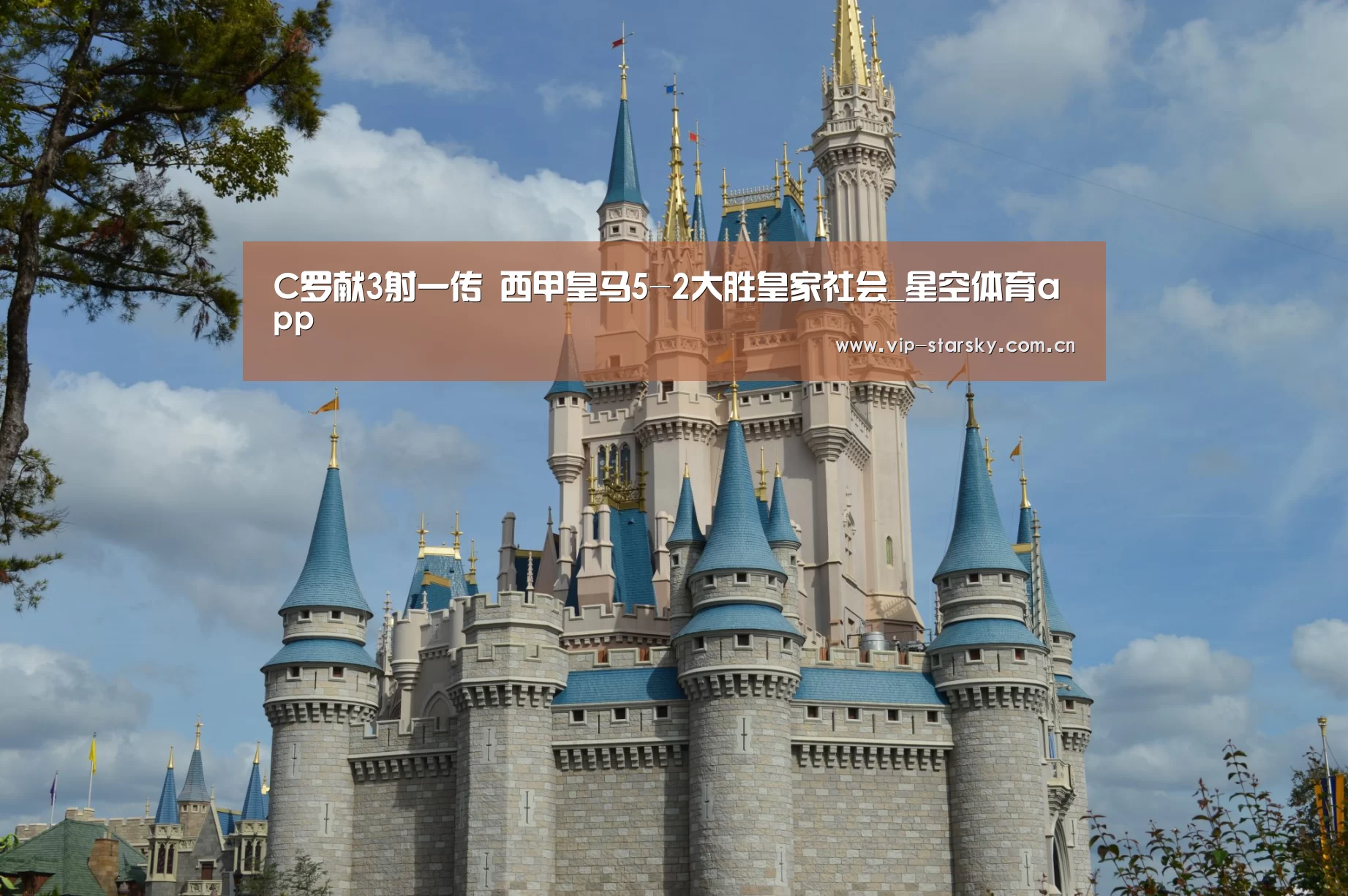 星空体育app