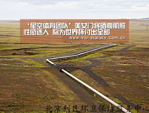 星空体育团队