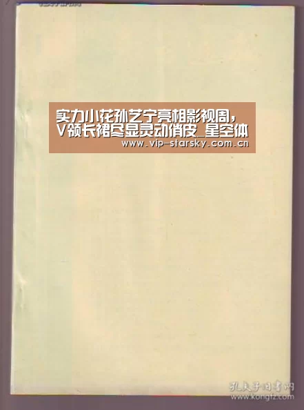星空体育团队