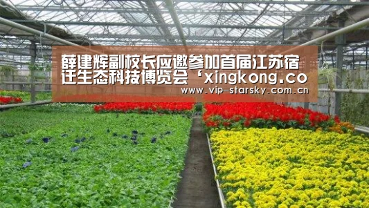 薛建辉副校长应邀参加首届江苏宿迁生态科技博览会‘xingkong.com’(图3) 星空体育团队