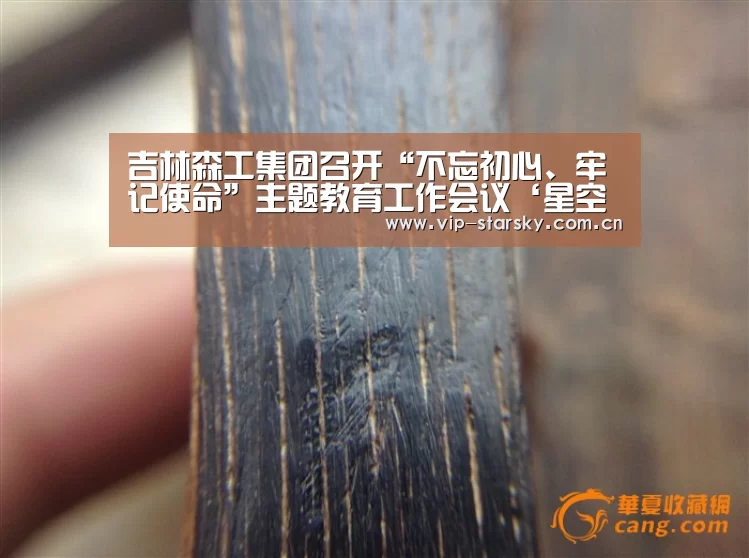 吉林森工集团召开“不忘初心、牢记使命”主题教育工作会议‘星空体育团队’(图3)