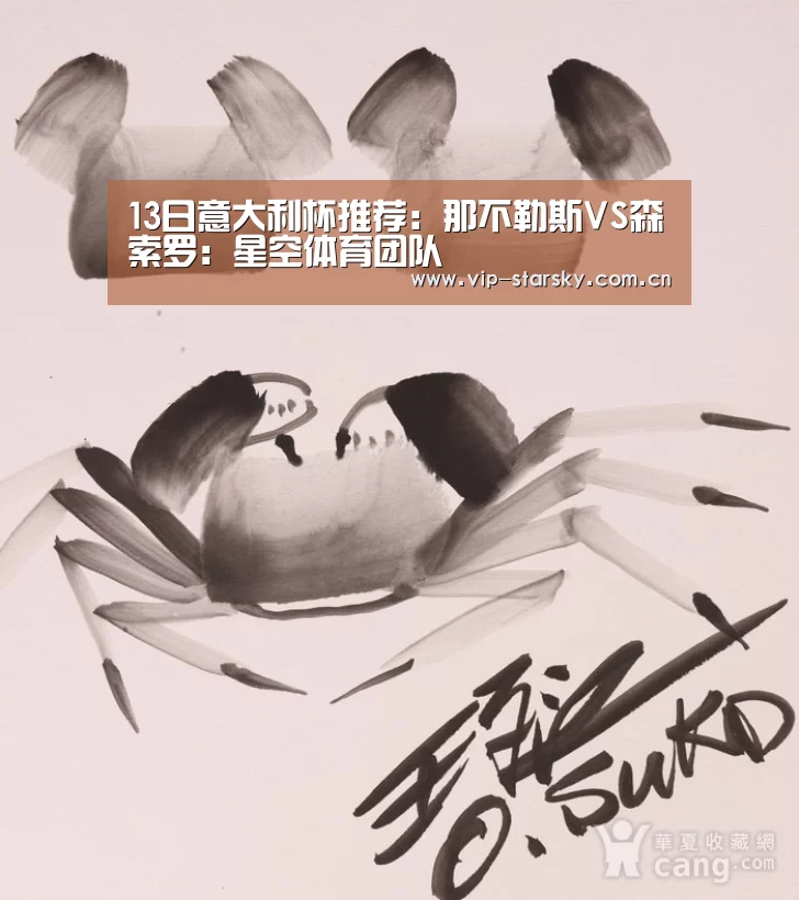 13日意大利杯推荐：那不勒斯VS森索罗：星空体育团队(图1)