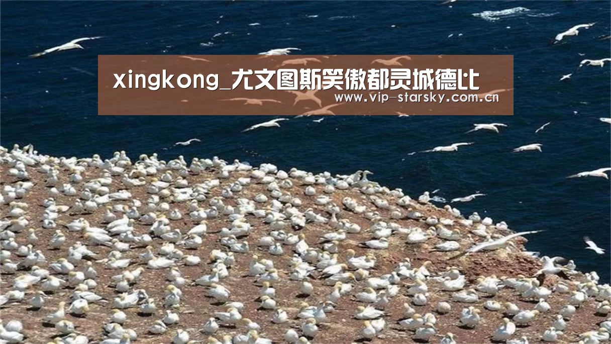 xingkong_尤文图斯笑傲都灵城德比(图1) xingkong_尤文图斯笑傲都灵城德比(图1)