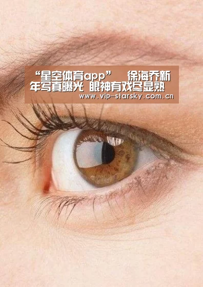 星空体育团队