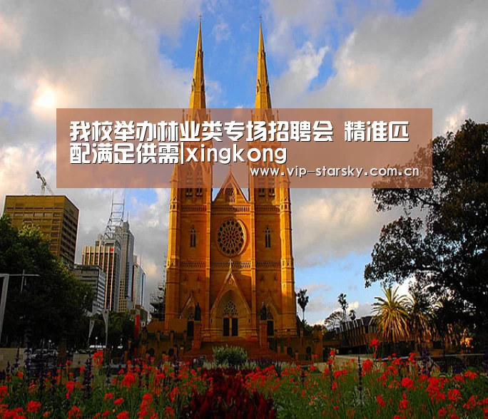 我校举办林业类专场招聘会 精准匹配满足供需|xingkong(图2) 我校举办林业类专场招聘会 精准匹配满足供需|xingkong(图2)